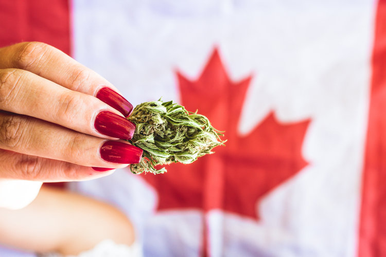 cheap weed online canada