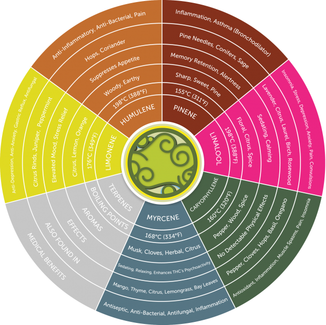 what are terpenes