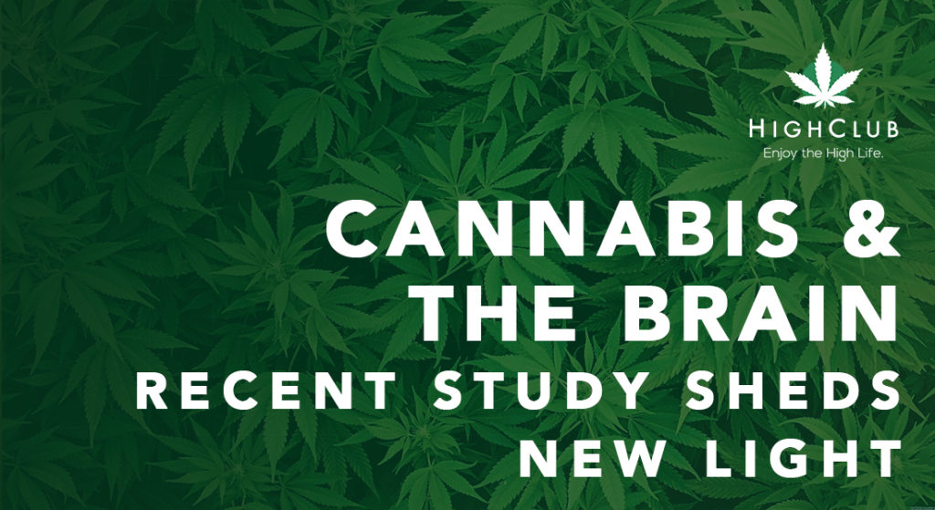 how does weed affect the brain