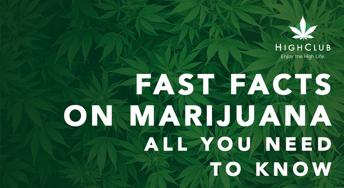 what you need to know about marijuana
