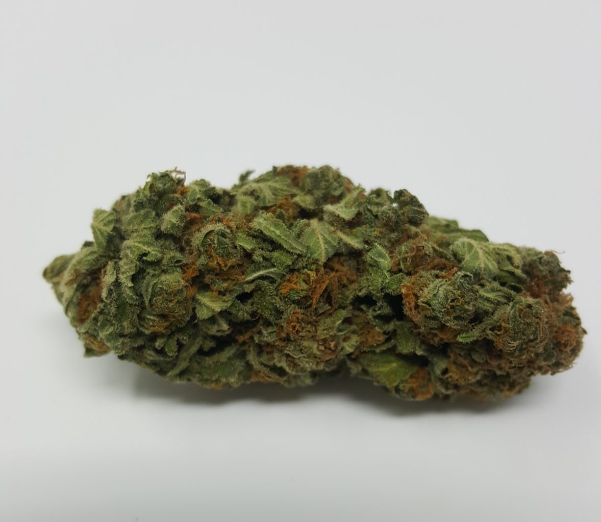 buy chocolope weed online canada