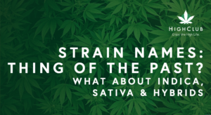 indica sativa hybrid strains