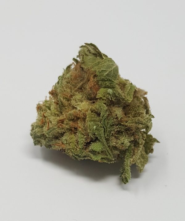 best online dispensary canada