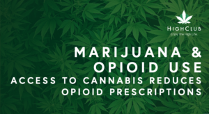stop opioids with cannabis