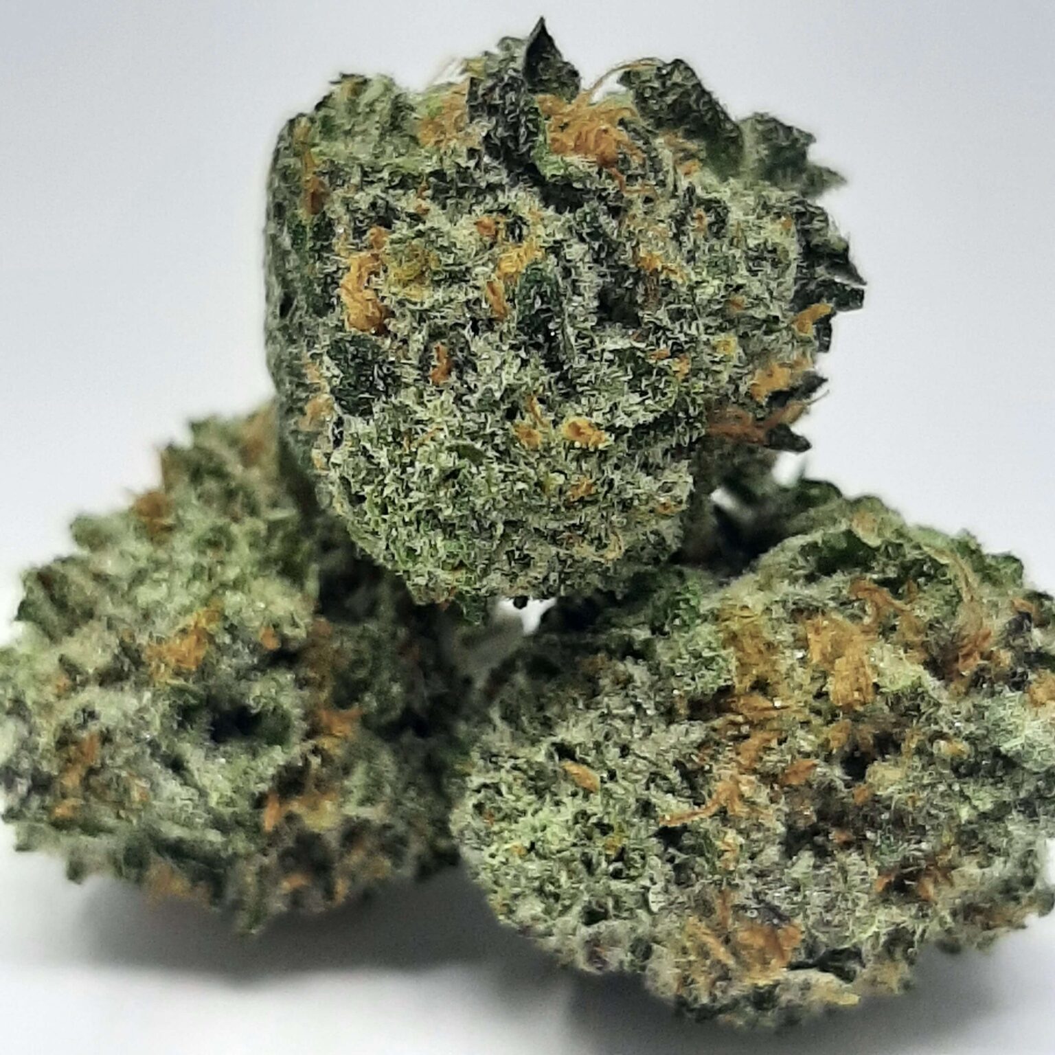 AAAA Berry White Mediums By Green Valley – HighClub