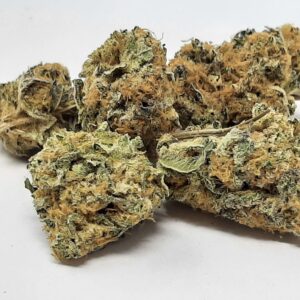 AAA Queens Revenge Mediums