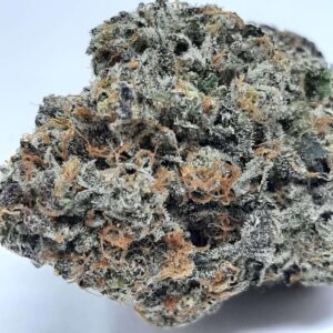 AAAA Pure Power Plant By Green Valley