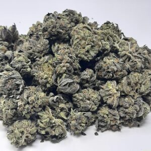 AAAA Granddaddy Purple Mediums By Green Valley