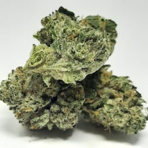 AAAA Tropicana Cookies Mediums By Green Valley
