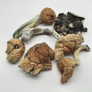 AAAA Teonanacatl Magic Mushrooms